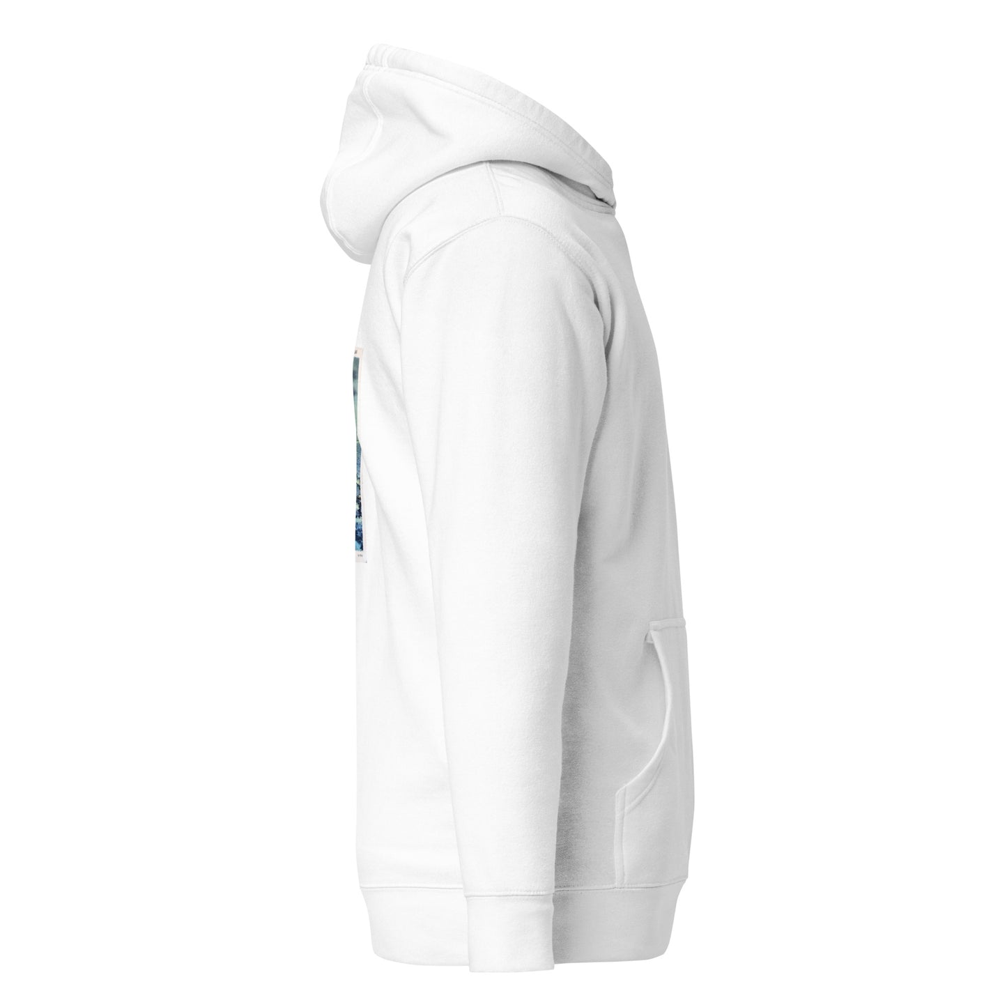 Moonlight Catawba Postcard Hoodie