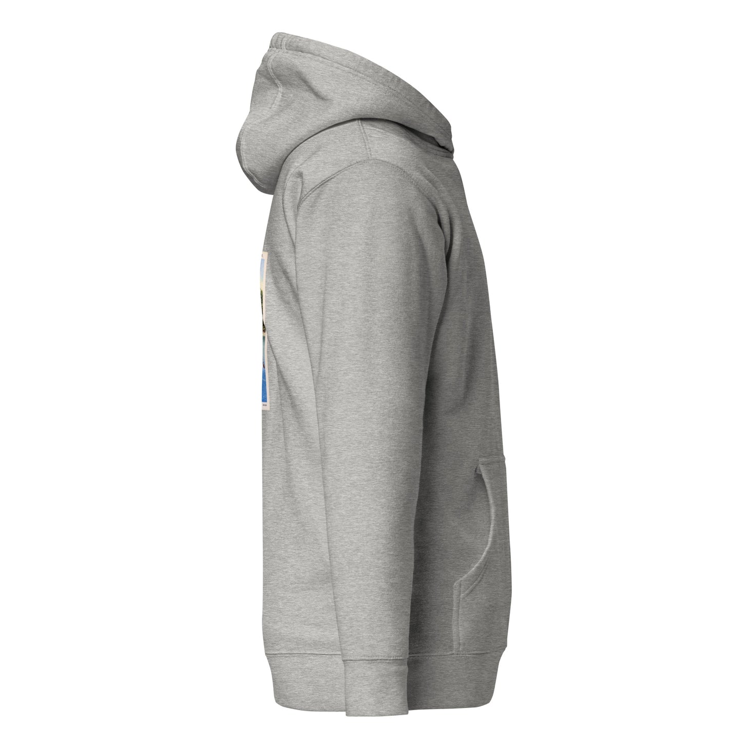 Catawba Cliffs Postcard Hoodie